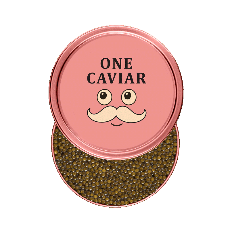 Kaluga Hybrid tin, Mustache design